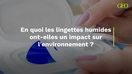 En quoi les lingettes humides ont-elles un impact sur l'environnement ?