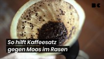 Gartenhelfer? So hilft Kaffeesatz gegen Moos im Rasen