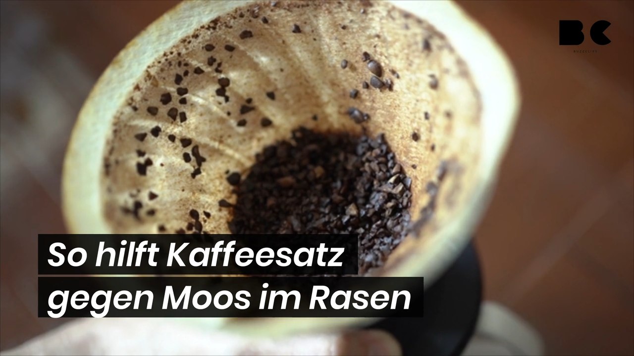 Gartenhelfer? so hilft kaffeesatz gegen moos im rasen