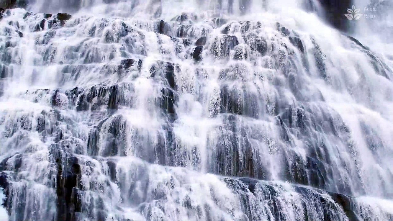Live 891 +60 waterfall_all