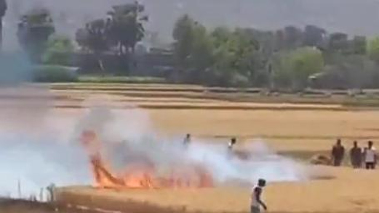 लखीसराय: विधुत तार से निकली चिंगारी से खेत में लगी भीषण आग, गेहूं की फसल जली