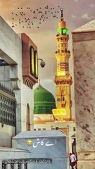 Islamic vedios♥️