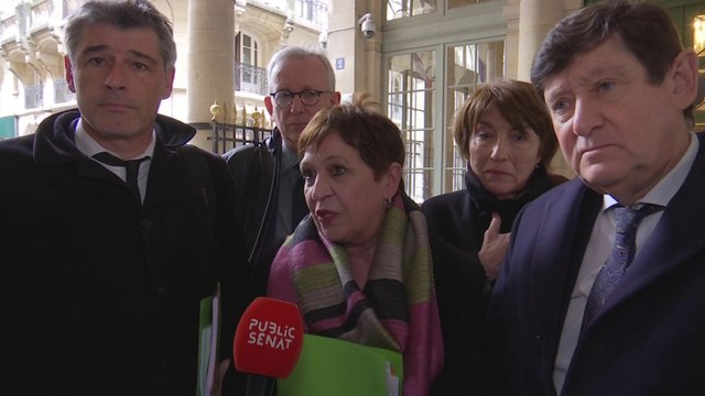 Retraites : la gauche sénatoriale défend son recours devant le Conseil constitutionnel