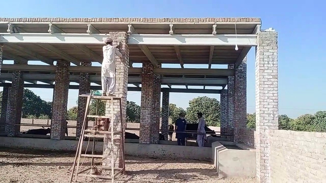 کیٹل فارم