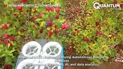 Modern Agriculture Machines That Are At Another Level ▶10(240P)