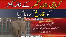 Director Karachi Zoo dismissed after Elephant Noor Jahan issue