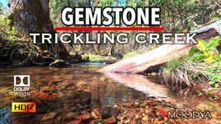 4K HDR Proxy+TV Video - Gemstone Creek Trickling Beauty - Daily Nature Meditation