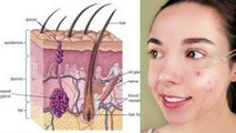 Health Nest /what is acne?acne /pimple causes?acne treatment?blackhead/whiteheads?tips for acne/Urdu