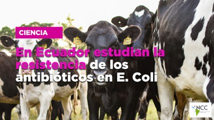 En Ecuador estudian la resistencia de los antibióticos en E. Coli