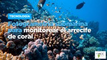 Fotogrametría submarina para monitorear el arrecife de coral