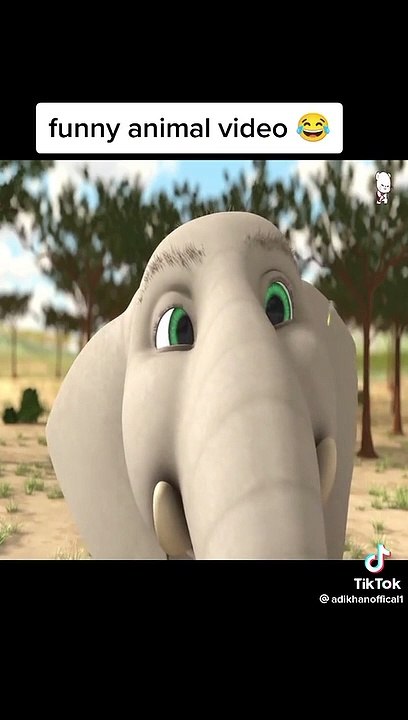 Funny animals