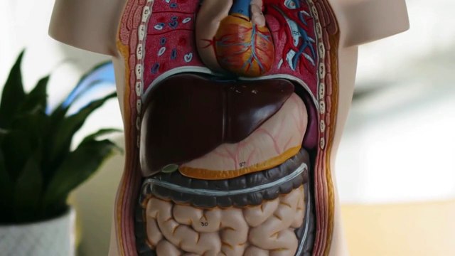 Health Nest/Fatty liver Symptoms?Causes?Diagnosis?Treatment?Fatty liver Disease جگر کی چربی کا علاج