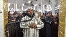 A cat joins a Ramadan prayer as Muslims celebrate the holy month