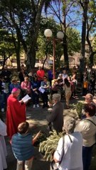 Descargar video: Domingo de Ramos - Parroquia Catedral San Fructuoso, Tacuarembó, Uruguay (01042023)