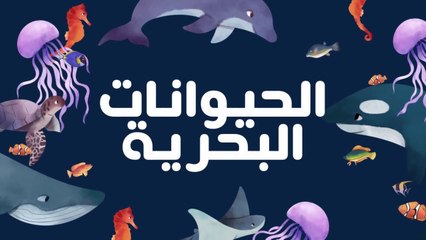 الحيوانات البحرية باللغة العربية