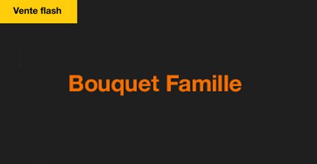 Vente flash Bouquet Famille 1€/mois pendant 2 mois sur la TV d'Orange