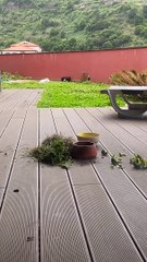 When your mom invites you to dinner.