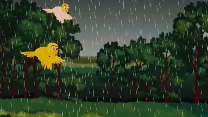 Masoom chiria  - Funny Chases|  Cartoon | only on Cartoon Network Wow kids India