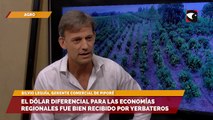 El dólar diferencial para las economías regionales fue bien recibido por empresarios yerbateros