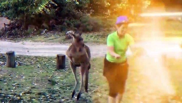 30 MIND BLOWING MOMENTS CAUGHT ON CAMERA