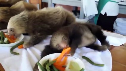 MOMENTS YOU WON'T REGRET WATCHING