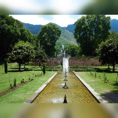 Amazing Recitation|| Tilawat Quran Sorah al_borooj by qari inamullah