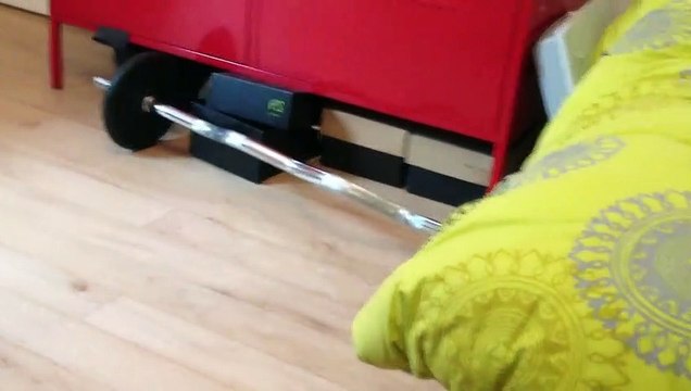 Bulldog anglais drôle qui aboie - HD 2-2