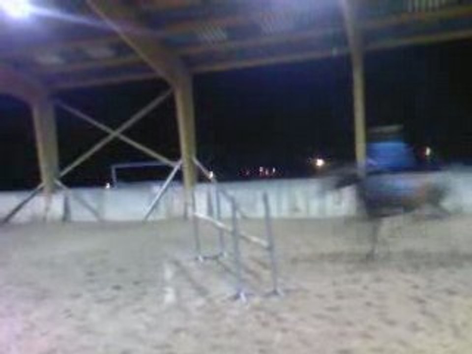 pick cheval