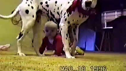 Cute Dogs And Adorable Babies- Compilation
