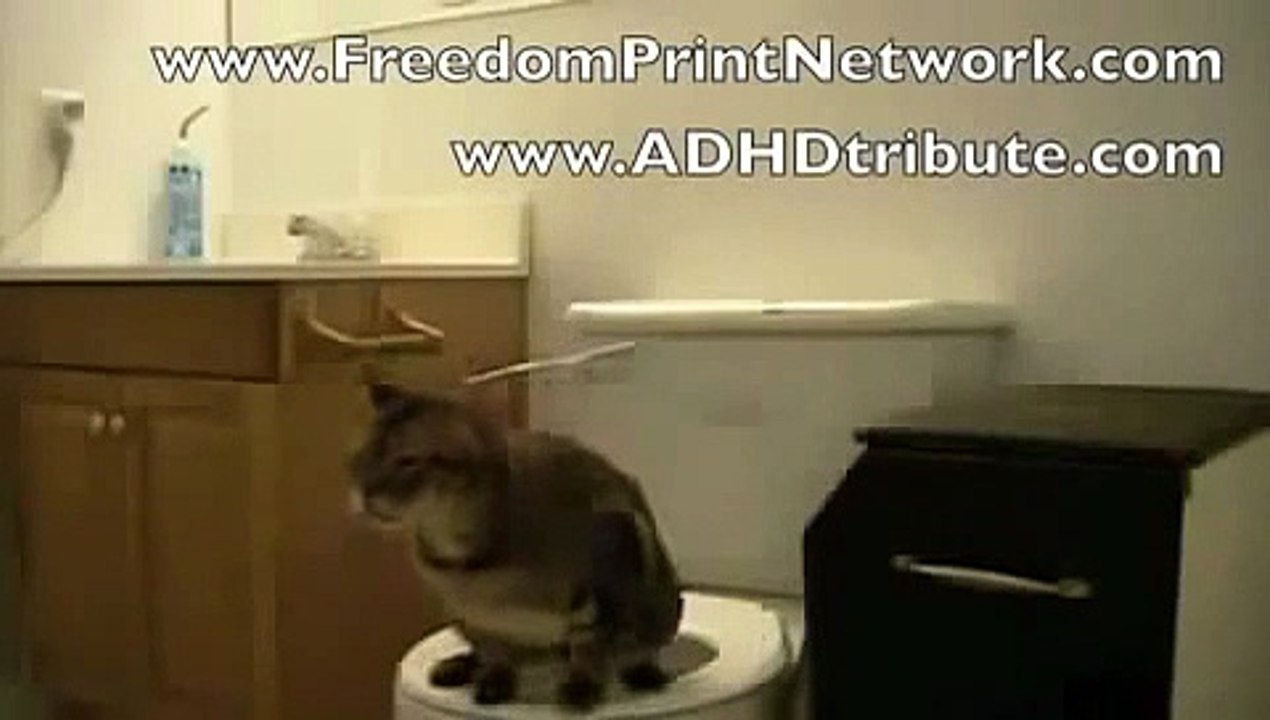 Cat pees on toilet and flushes Amazing funny animal tricks Vidéo