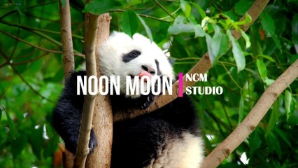 Noon Moon - Mike Block feat. Folk-Physics, Ambient Music, Bright Music, Happy Music