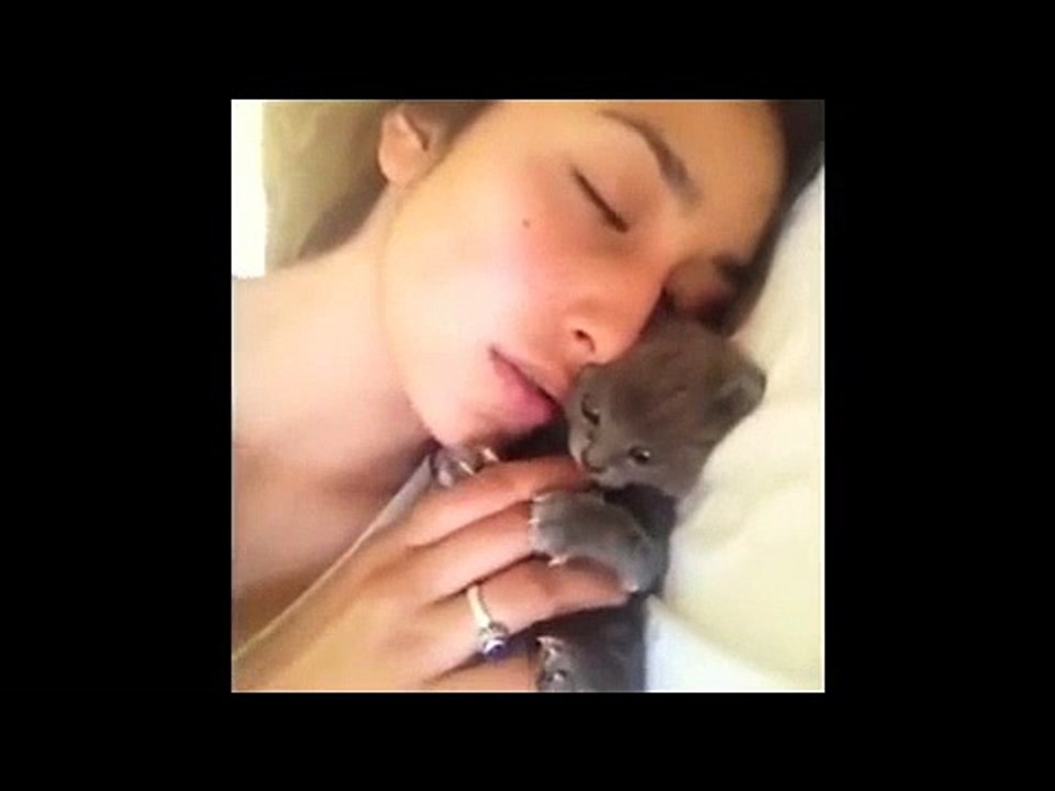 FUNNY VIDEOS  Funny Cats   Funny Animals   Funny Moments   Funny Cat Vines x264