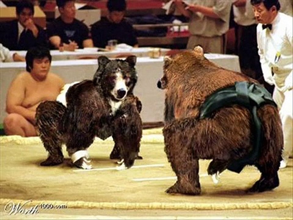 funny and scary animals