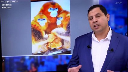 خلاف بين أمير قطر ورئيس الفيفا بسبب ماكرون.. واعتذار للمغرب من التلفزيون الدنماركي