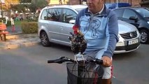 Coq qui fait du vélo - Funny Rooster on Bike