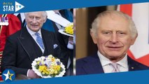 Charles III : ce proche de William qui peut remplacer le roi à tout moment