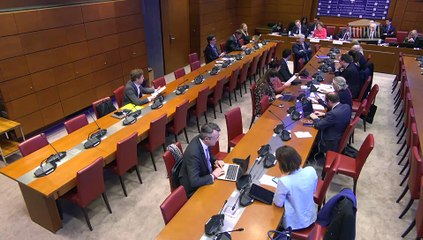 Commission des affaires européennes : Son Exc. Mme Menna Rawlings, Ambassadrice du Royaume-Uni en France - Mardi 4 avril 2023