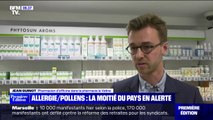 Allergie aux pollens: la moitié de la France est en alerte rouge