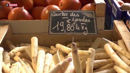 Des asperges à 19 euros le kilo