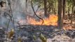 ब्रेकिंग: रजौली के घने जंगलों में लगी भीषण आग, प्रशासनिक ने नहीं की कोई पहल