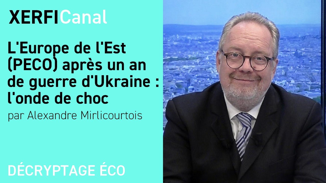 L'Europe de l'Est (PECO) après un an de guerre d'Ukraine : l'onde de choc [Alexandre Mirlicourtois]