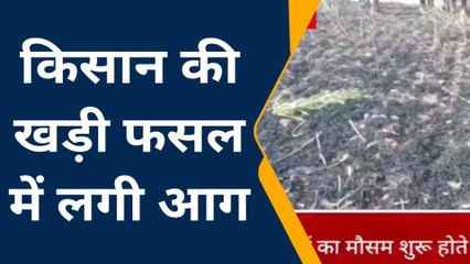 जालौन: आग के तांडव से हाहाकार, कई बीघे गेहूं की फसल जलकर राख