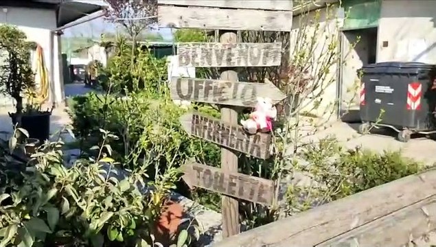 Al canile di Prato dopo il terremoto giudiziario: I cani vanno accuditi come ogni giorno