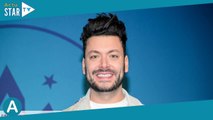 Mask Singer : les salaires des membres du jury dévoilés, Kev Adams loin devant les autres