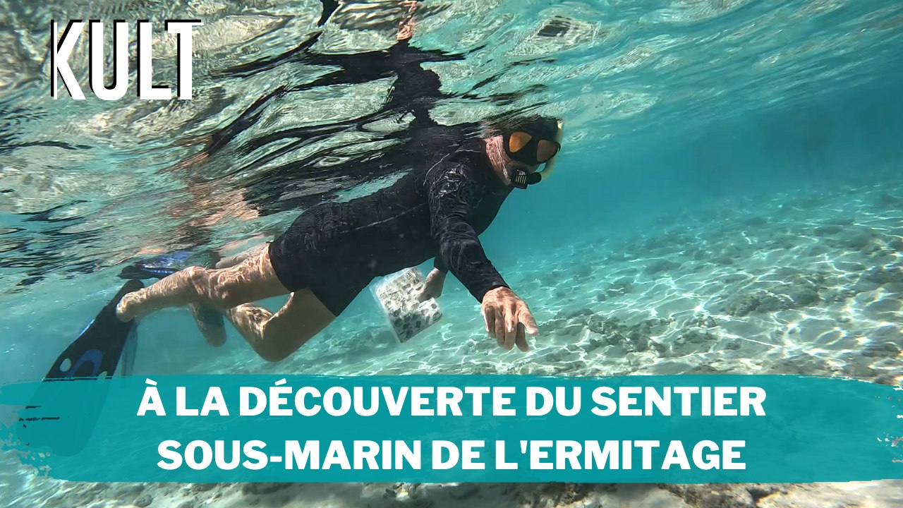 À la découverte du sentier sous-marin de l'Hermitage