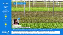 Les agriculteurs des Pyrénées-Orientales en ordre de bataille après la nouvelle restriction du débit de la Têt