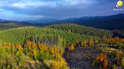 Sleep Music for Deep Relaxation - Album Vol 10