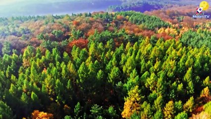 Calming Music for Depression and Anxiety - Album Vol 01