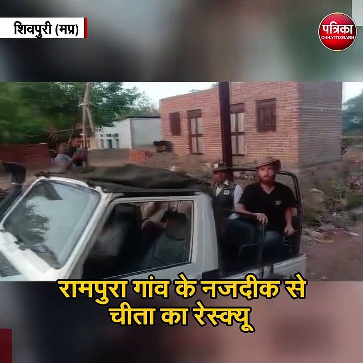 रेस्क्यू कर चीते को साथ ले गई कूनो पार्क की टीम