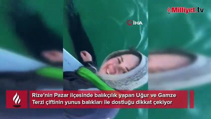 Yunusları elleriyle besliyorlar